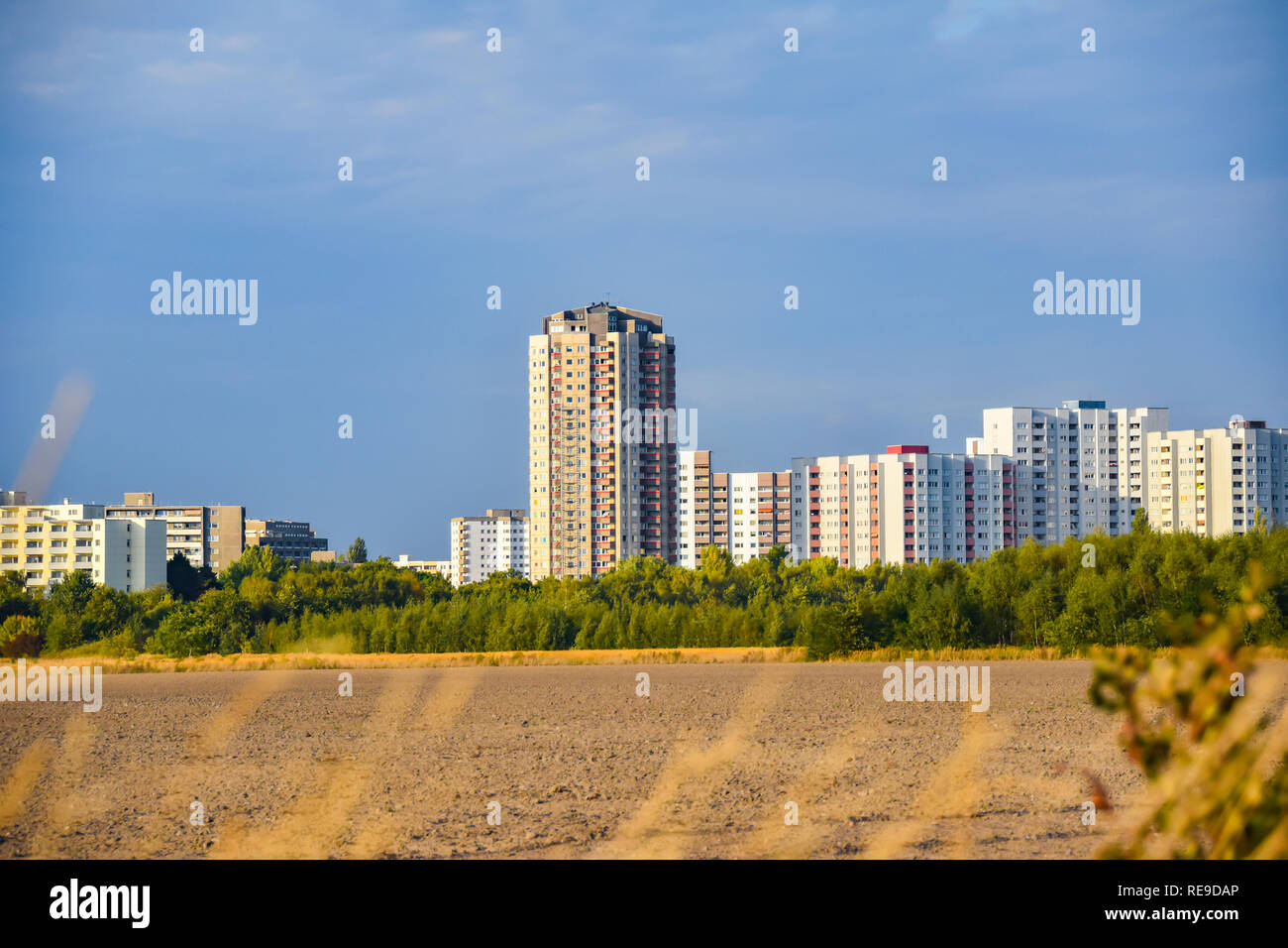 Blick auf einem abgeernteten Feld auf den Satelliten Stadt Gropiusstadt in Berlin-Neukölln von der Sonne beleuchtet. Stockfoto