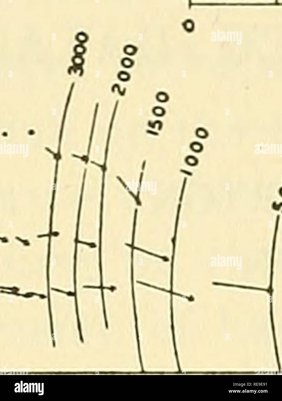 . Frühe geophysikalische Papiere der Gesellschaft der Exploration Geophysicists. Petroleum; Kundenakquise. 26 DONALD C. BARTON DATEN Die Daten für die Berechnungen verwendet wurden: A. in drei eng benachbarte diametral Linien der Torsion - Balance Sta- tionen (Abb. I). 5000' tn 1500 MCTCRS Abb. i.-Karte zeigt der Gradient Pfeile der Torsion - Balance Erhebungen, und die Struktur von Konturen auf der Oberseite der Sechskantschrauben, Daten, Herrenfriseure Hill salt Dome.. Bitte beachten Sie, dass diese Bilder aus gescannten Seite Bilder, die digital für die Lesbarkeit verbessert haben mögen - Färbung und Aussehen dieser Abbildungen ma extrahiert werden Stockfoto