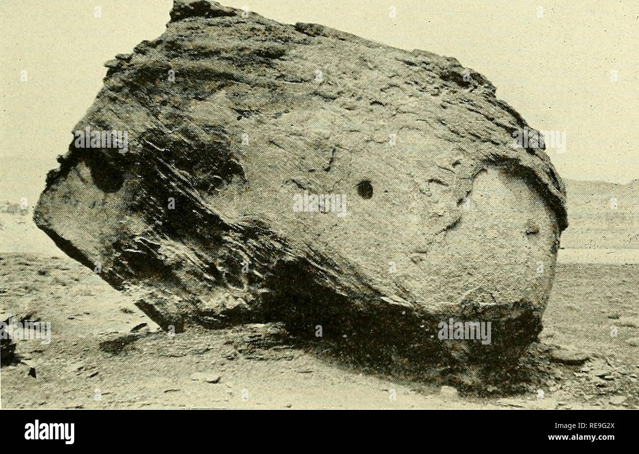 . Beiträge zur Geographie der Vereinigten Staaten, 1923-1924. Geologie; Minen und Mineralien. A. KONISCHE ANHÖHE MOENKOPI BILDUNG IN DER NÄHE VON LEES FERRY, Ariz. Die Moenkopi Bildung hier ist ein sand Schiefer, mit Kies, die aus dem Zerfall eines Shinarump Konglomerat abgedeckt.. B. BEGINNENDE SOCKEL ROCK ÜBERSICHT PEELING. Zeigt auch cross-Betten des Shinarump, unregelmäßige verkrusteter Oberfläche, und eine kleine Grube durch lo Lösung von Zement.. Bitte beachten Sie, dass diese Bilder aus gescannten Seite Bilder, die digital für die Lesbarkeit erhöht worden sein können extrahiert werden - Colora Stockfoto