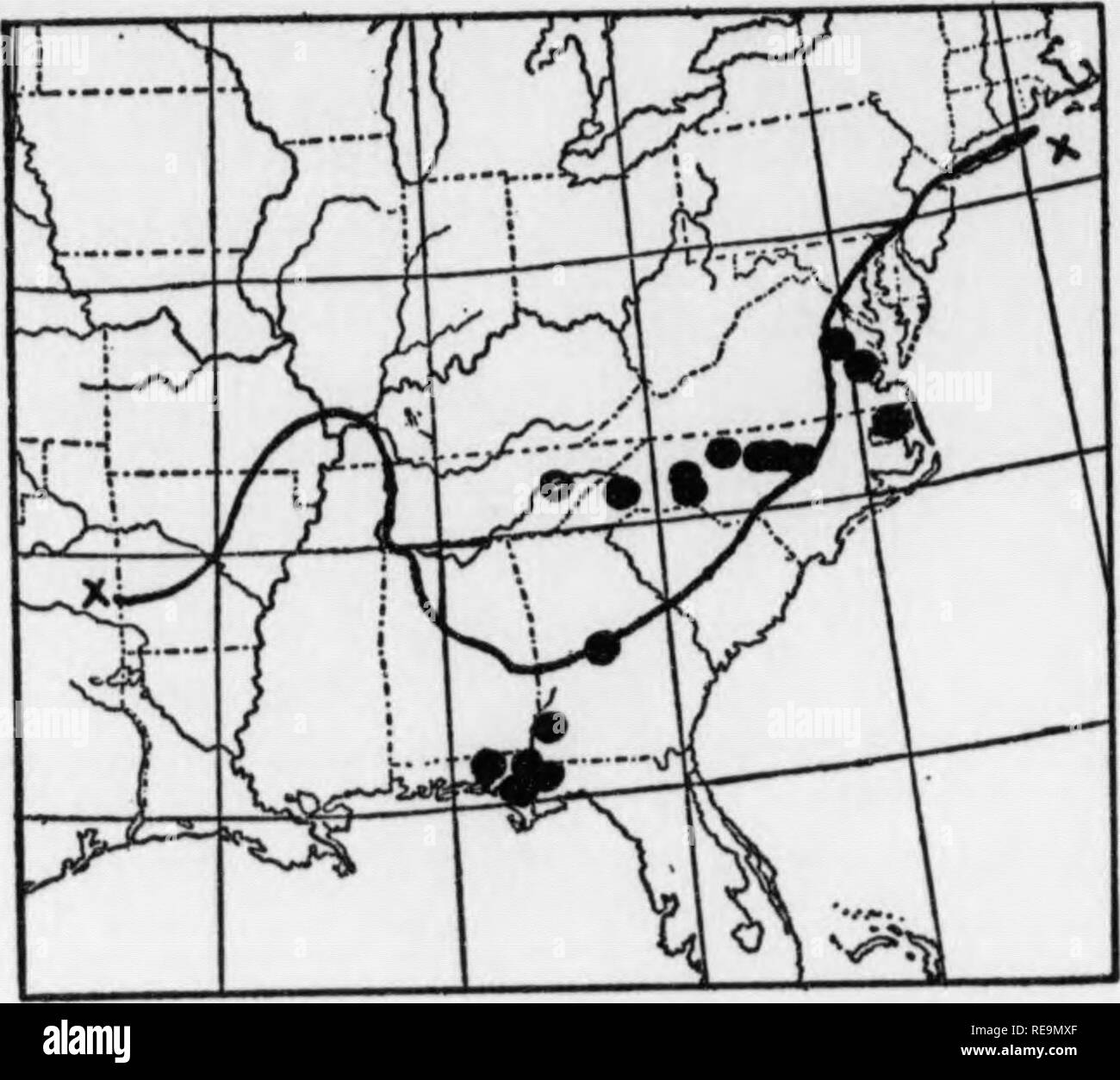 . Beiträge der botanischen Labor und der Morris Arboretum der Universität von Pennsylvania, Vol. 13. Botanik; Botanik. **!!! R-i1". Abb. 9. Reihe von Lobelia glandulifera. Eine 288 Rhodora [August^ 1890 (NB, oben). JAMES Ort: Ewell, Grimes U72 (NB). In der Akademie der Naturwissenschaften von Philadelphia ist ein Muster von Pursh 1806 gesammelt im greensville oder Süd - ampton County, Virginia. Dieses eine du plicate sein kann von einem im New York der Torrey Herbarium, mit der Aufschrift "greenville" und "Kraut. Barton." 6. L. GLANDULOSA Walter, Flora Caro-lin.218. 1788. Art Ort: Stockfoto