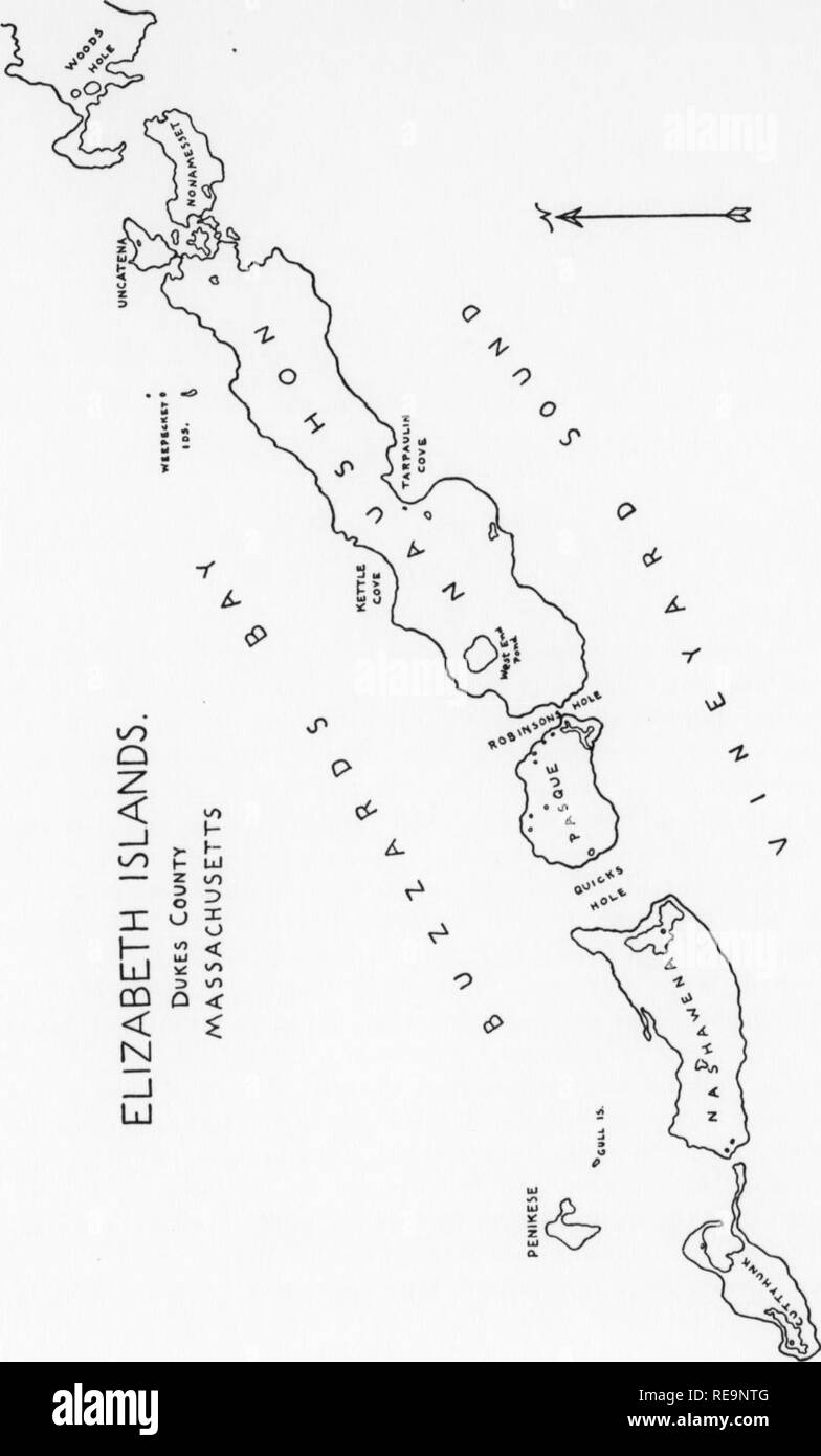 . Beiträge der botanischen Labor, Bd. 8. Botanik; Botanik. 120 Rhodora [Juli 1930] Fogg, - Flora der Elizabeth Inseln, Massachusetts 121. &Lt;" - I-h-u CO X O&lt z D O U;&lt; Puritan Insel. Im Süden der Dachrinnen liegen Ost und West Buck Buck Inseln, obwohl hier wieder Verwirrung besteht, wie West Buck oc-casionally erscheint auf Karten als "Monohansett." Die drei Weepecket Inseln nach Norden erstrecken sich vom östlichen Ende der Naushon und jetzt ein Vogelschutzgebiet dar. Mit der Erwähnung der Möwe Insel, einen kleinen Streifen Sand liegen östlich von Penikese und Pine Island, im Stockfoto