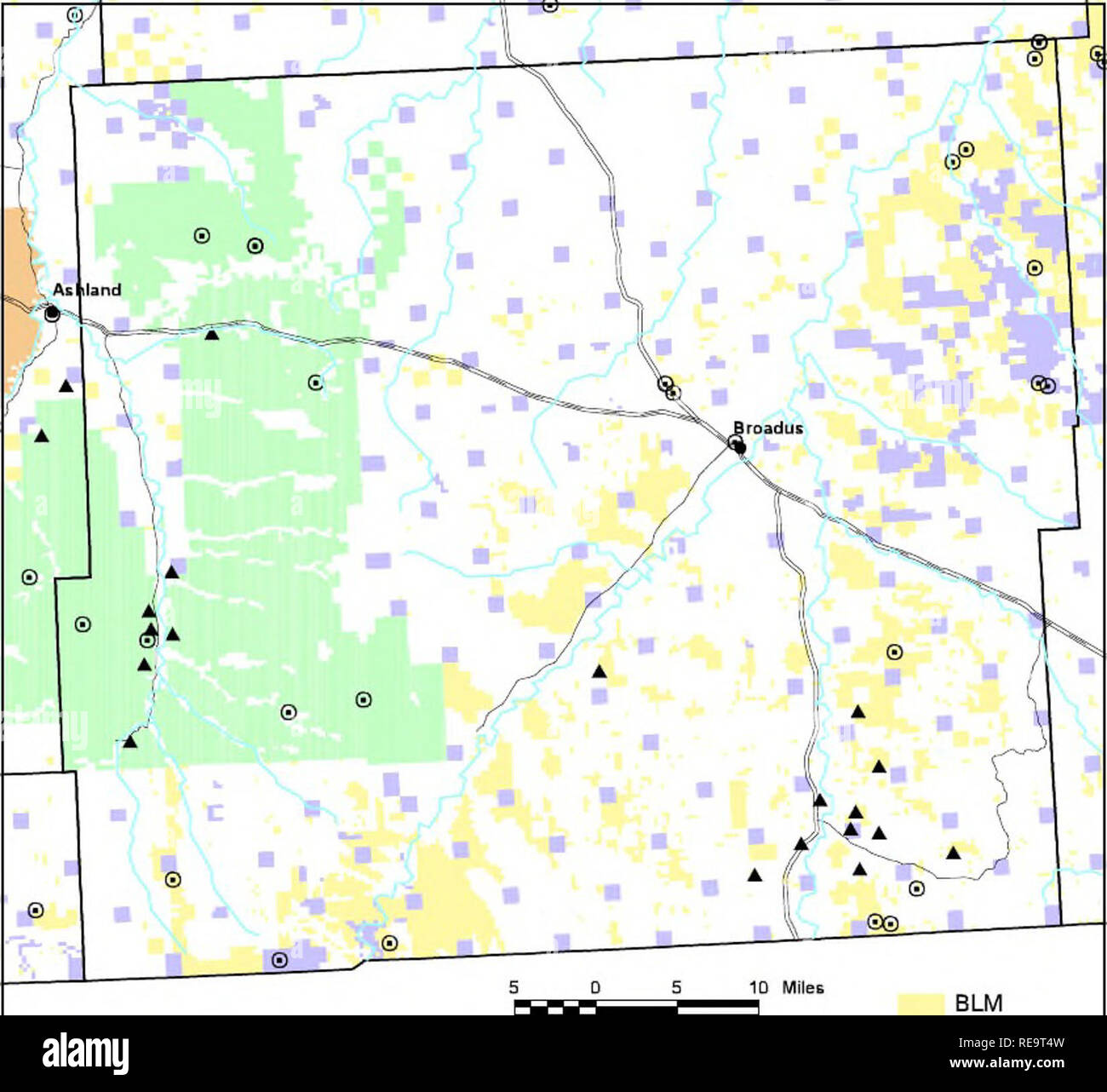 . Pflanzenarten und Pflanzengesellschaften der Powder River County, Montana. Anlage Gemeinschaften; gefährdete Pflanzen; seltene Pflanzen; Botanik; Pflanze Erhaltung. Abbildung 10. Standorte für Pflanzenarten, die Anlass zur Besorgnis in Powder River County. , ^^l NanjT Erbe rBr, '^', r^"^ Hflf&lt; "l-3 £ LD "r" | Ml-lp rnri -^ Astragal barrij Positionen J (W) anderen Verfolgten Arten" Ich beobachte ich Arten (mögliches Interesse) Wasser BLM USPS Tribal Staat Vertrauen anderen privaten Infomiation gatliered während der Umfrage Arbeit hat auch neue Einblicke in die Lebensräume tlie tliese Merkmale und Ökologie von Arten zur Verfügung gestellt. B Stockfoto