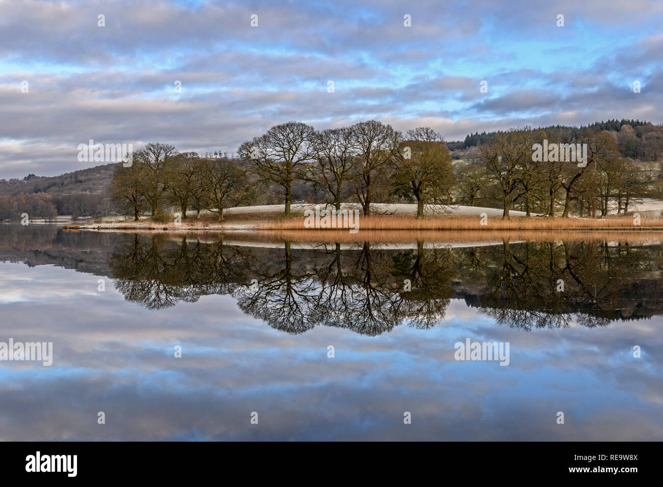 Spiegel - wie Baum Reflexionen über Esthwaite Water in der Nähe von Ambleside im Lake District National Park an einem kalten, frostigen Morgen Stockfoto