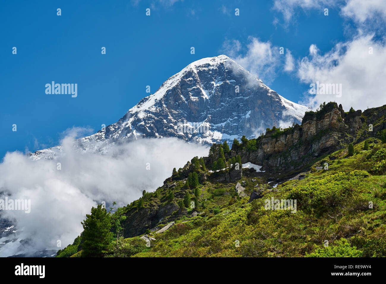 Schweizer Alpen Landschaft mit Wiese, schneebedeckten Bergen und grüner Natur. Aufgenommen in den Bergen von Grindelwald, Mannlichen - Alpiglen Trail, Schweiz. Stockfoto