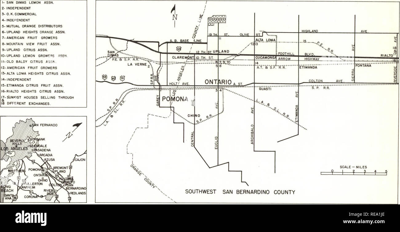 . Konsolidierung von Zitrusfrüchten Verpackung Häuser in der Ontario-Cucamonga Bereich. Ontario-Cucamonga Obst Exchange (Hochland, Calif.), Zitrusfrüchte, Obst. 1 - SAN OIMAS ZITRONE ASSN. 2 unabhängige 3-O. K. KOMMERZIELLEN 4-unabhängigen 5 - GEGENSEITIGE ORANSE DISTRIBUTOREN 6 - HOCHLAND HEIGHTS ORANGE ASSN. 7 - amerikanische OBSTBAUERN 8 - BERGBLICK OBST ASSN. 9 - HOCHLAND CITRUS ASSN. 10-HOCHLAND ZITRONE GROWERS ASSN. 11-JÄHRIGE BALOY CITRUS ASSN, 12-amerikanischen OBSTBAUERN 13 - ALTA LOMA HÖHEN CITRUS ASSN 14 - unabhängige 15-ETIWANDA ZITRUSFRÜCHTE ASSN. 16-RIALTO HÖHEN CITRUS ASSN.. Abb. SERVIERT VON DER ONTARIO - CUCAMONG Stockfoto