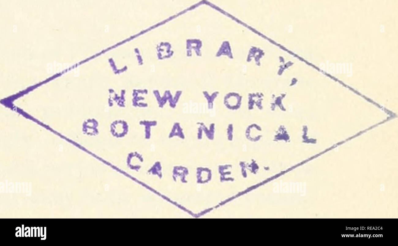 . Beiträge zur Botanik von Vermont. Pflanzen - - Vermont. CYRUS G. PRINGLE, A. M. seit 25 Jahren eine sorgfältige und gewissenhafte Sammler der Pflanzen von Nordamerika:, dessen Talent und Begeisterung wurden erstmals in der Studie der Flora von Vermont gezeigt. CD 05 CM. Bitte beachten Sie, dass diese Bilder sind von der gescannten Seite Bilder, die digital für die Lesbarkeit verbessert haben mögen - Färbung und Aussehen dieser Abbildungen können nicht perfekt dem Original ähneln. extrahiert. Universität von Vermont. Botanik Dept; Middlebury College. Burlington, VT: Botanische Abt., Universität Stockfoto