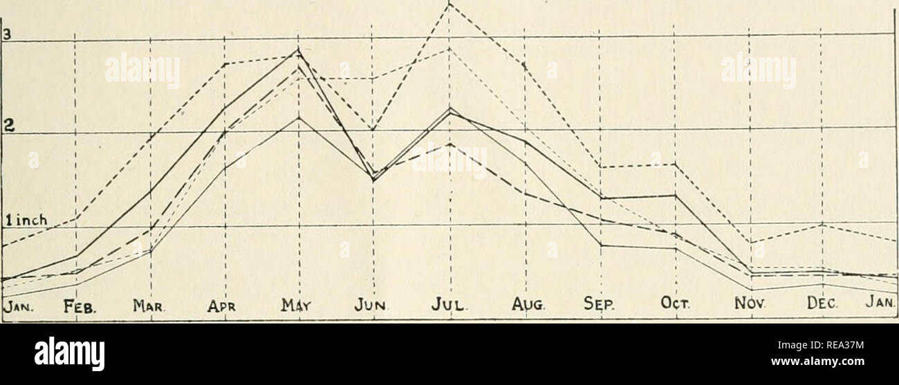 . Beiträge aus dem Rumpf botanischen Labor. Pflanzen. 1919] VESTAL - PIIYTOCEOGRAPHY von Colorado 179 Sommer Niederschlag als im Flachland in der Nähe der Berge; die Gewinnausschüttung ist ähnlich, außer dass der Juni ist als Regenzeit im Mai. Die Diagramme für Ausläufer und Ebenen in der Nähe der Bergen in Abb. sind wiederholt. 14. Diese Zonen und den Berg - vorn haben maximale Niederschlag im Mai, mit einem scharfen Rückgang im Juni, durch etwas stärkere Niederschläge im Juli folgten. Trotz seiner weniger erhöhten Posi-tion, der Berg - Vordere Feder erhält mehr Niederschlag als im Alpenvorland. Montane Zone der nördlichen Ausläufer der Nördlichen P Stockfoto