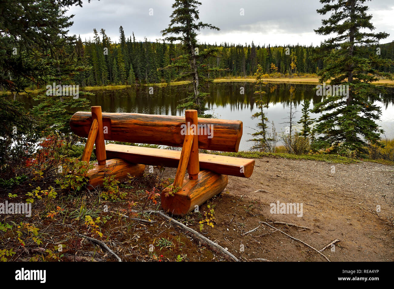 Ein Bild von einem leeren Sitzbank mit Blick auf Maxwell See in Hinton Alberta Kanada Stockfoto