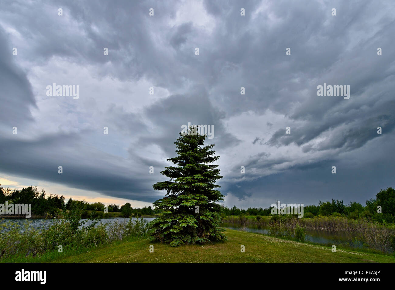 Einen breiten Betrachtungswinkel horizontal Bild der Sturmwolken über einen natürlichen Teich und Grünfläche in ländlichen Alberta Kanada bewegen. Stockfoto