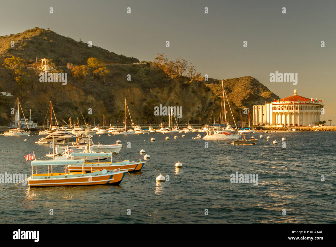 Catalina Sonnenuntergang - am späten Nachmittag Sonne wärmt Hafen Boote und "Das Casino." Santa Catalina Island, Avalon, Kalifornien, USA Stockfoto