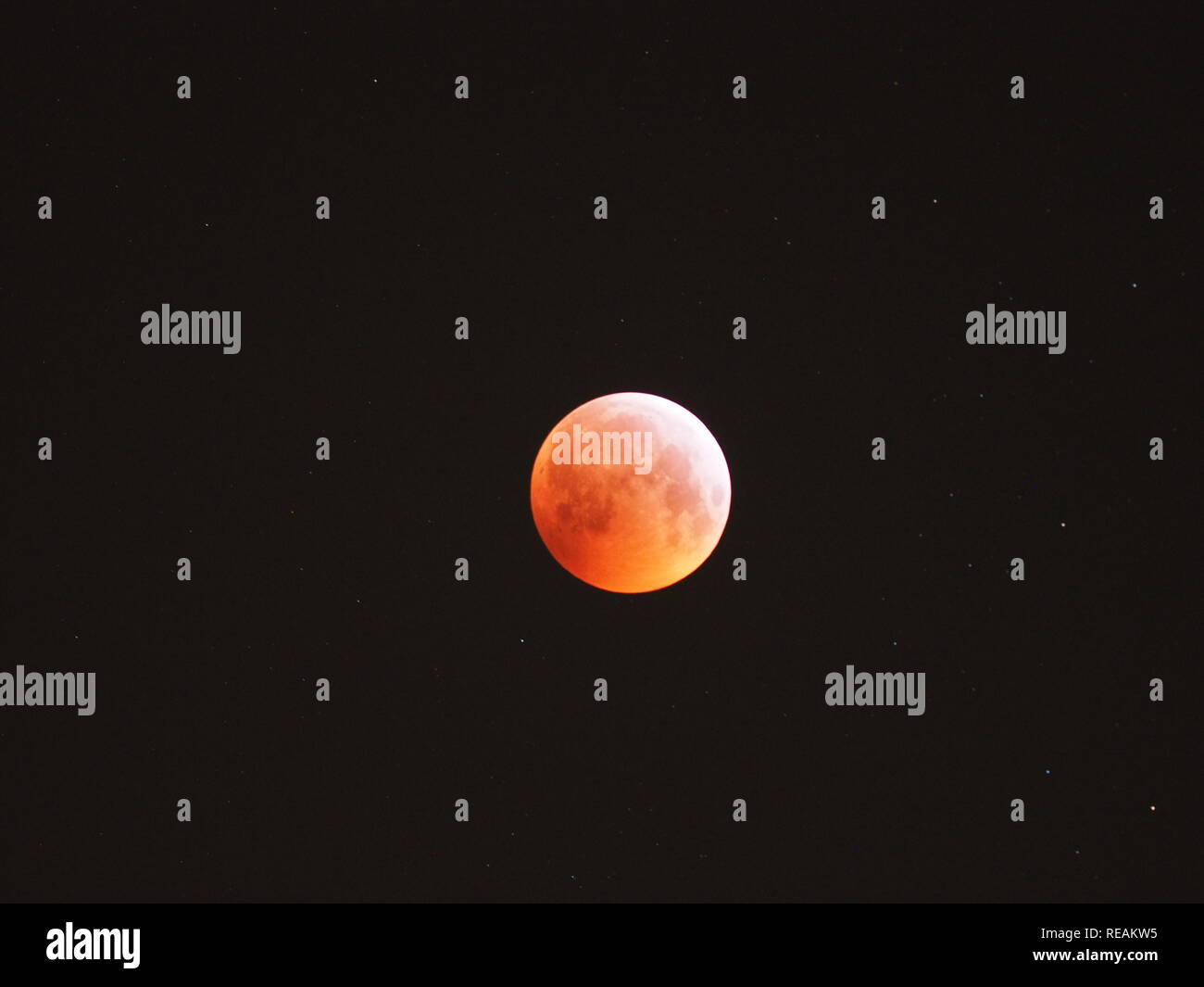 Sheerness, Kent, Großbritannien. 21. Januar, 2019. UK Wetter: Die vollständige super Blut Wolf moon Eclipse wie oben Sheerness in Kent bei rund 5 gesehen, bin heute Morgen. Credit: James Bell/Alamy leben Nachrichten Stockfoto