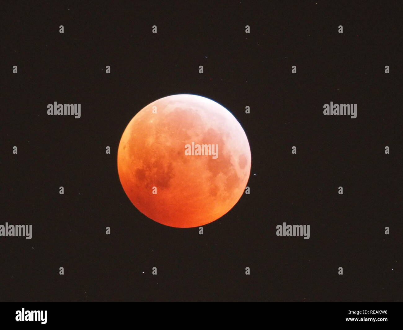 Sheerness, Kent, Großbritannien. 21. Januar, 2019. UK Wetter: Die vollständige super Blut Wolf moon Eclipse wie oben Sheerness in Kent bei rund 5 gesehen, bin heute Morgen. Credit: James Bell/Alamy leben Nachrichten Stockfoto