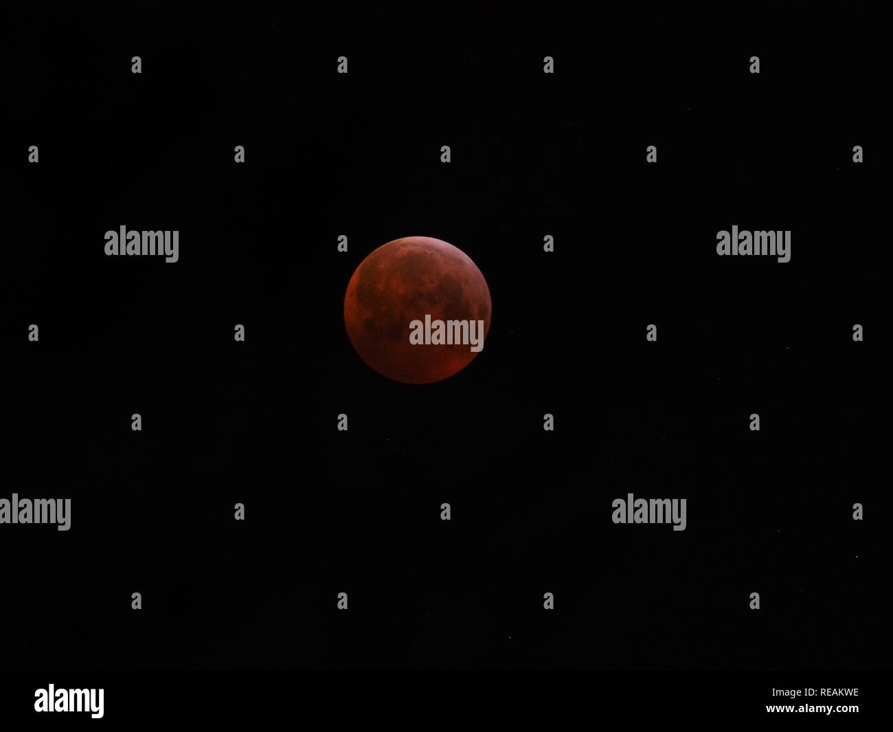 Sheerness, Kent, Großbritannien. 21. Januar, 2019. UK Wetter: Die vollständige super Blut Wolf moon Eclipse wie oben Sheerness in Kent bei rund 5 gesehen, bin heute Morgen. Credit: James Bell/Alamy leben Nachrichten Stockfoto