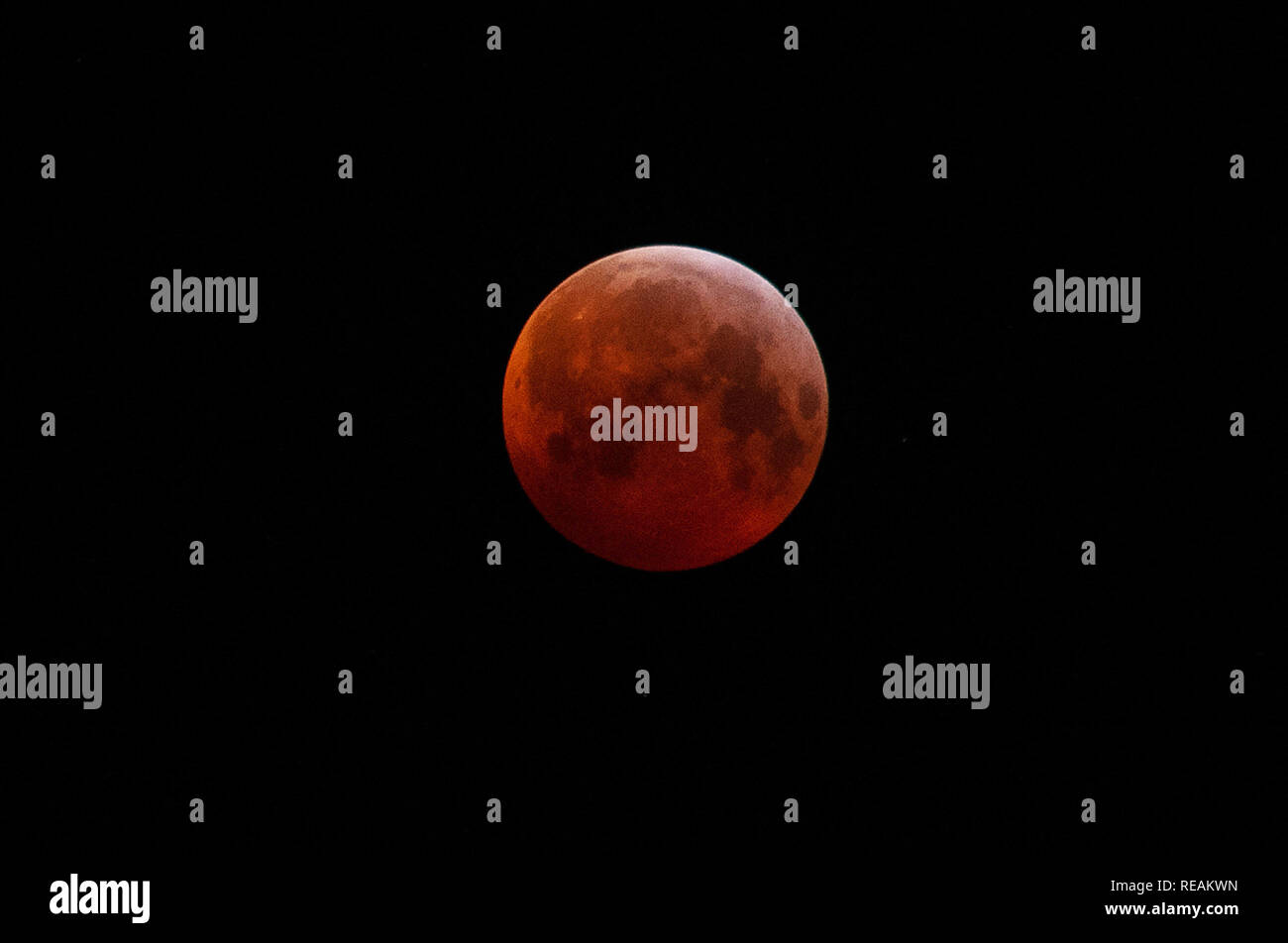 Super Blut Wolf Mond über Allerwash, Northumberland, Großbritannien Stockfoto