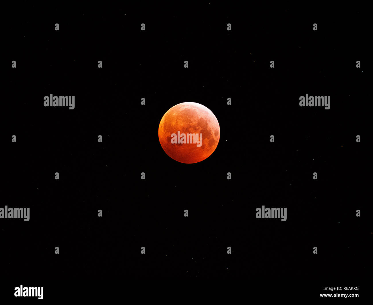 Sheerness, Kent, Großbritannien. 21. Januar, 2019. UK Wetter: Die vollständige super Blut Wolf moon Eclipse wie oben Sheerness in Kent bei rund 5 gesehen, bin heute Morgen. Credit: James Bell/Alamy leben Nachrichten Stockfoto