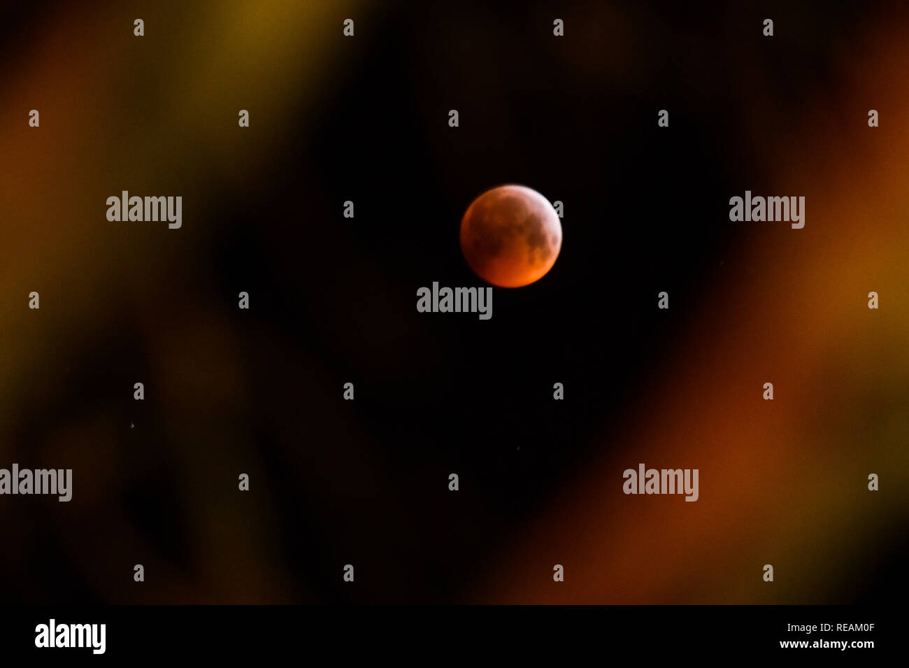 Brighton UK 21. Januar 2019 - Sterngucker eine gute Sicht auf die super Blut wolf mond von Queens Park in Brighton, die am frühen Morgen wie die Mondfinsternis 2019 in Großbritannien statt. Es gibt nicht eine ähnliche Ansicht für weitere zehn Jahre als totale Mondfinsternis tritt auf, wenn sich die Erde genau zwischen Sonne und Mond erzeugen ein Schatten, der stoppt die Sonnenstrahlen erreichen der Mondoberfläche: Simon Dack/Alamy Leben Nachrichten Pässe Stockfoto