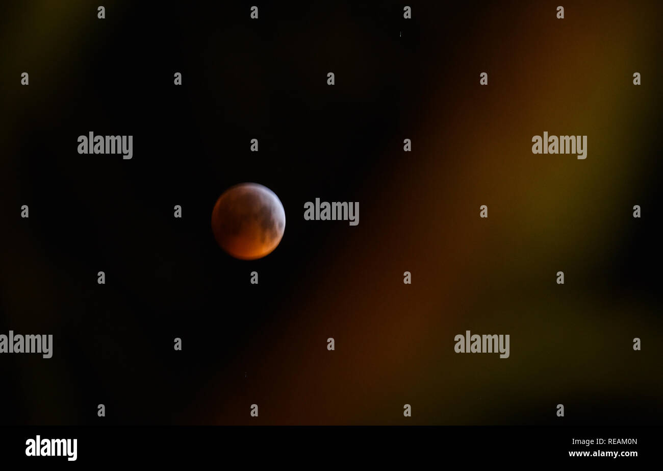 Brighton UK 21. Januar 2019 - Sterngucker eine gute Sicht auf die super Blut wolf mond von Queens Park in Brighton, die am frühen Morgen wie die Mondfinsternis 2019 in Großbritannien statt. Es gibt nicht eine ähnliche Ansicht für weitere zehn Jahre als totale Mondfinsternis tritt auf, wenn sich die Erde genau zwischen Sonne und Mond erzeugen ein Schatten, der stoppt die Sonnenstrahlen erreichen der Mondoberfläche: Simon Dack/Alamy Leben Nachrichten Pässe Stockfoto