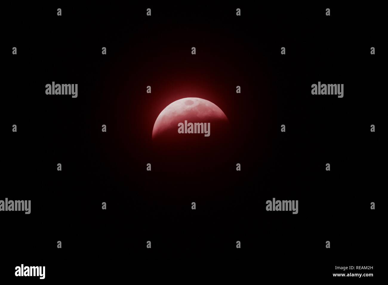 Die super Wolf Blut Mond von 2019. Stockfoto