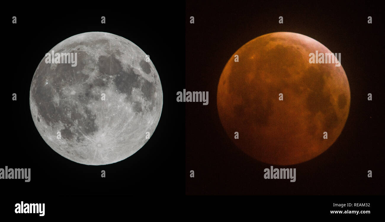 Glasgow, UK. 21. Januar 2019. Super Blut Wolf Mond durch einen dünnen Schleier der Wolke gesehen. Ein Blut Mond zuletzt im Juli 2018 aufgetreten, obwohl Wolken weitgehend die Himmelserscheinung in Großbritannien verdeckt werden. Dadurch wird der erste von drei supermoons sein dieses Jahr. Die bevorstehende supermoon wird über 357,300 km entfernt werden. Der 19. Februar supermoon wird ein bisschen näher sein und eine im März wird das am weitesten entfernte. Credit: Colin Fisher/Alamy leben Nachrichten Stockfoto
