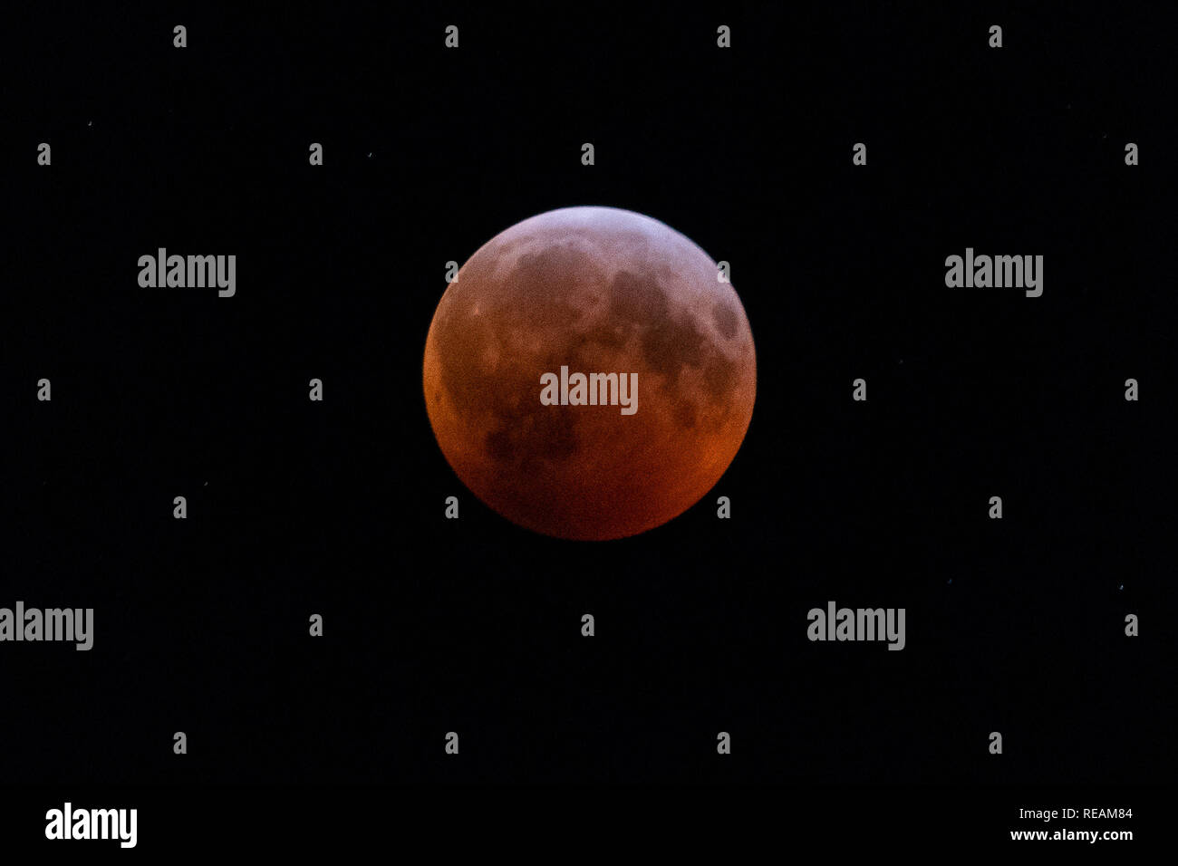 Toronto, Kanada. 21. Januar 2019. Toronto, Kanada. Die 2019 totale Mondfinsternis, Super Blut Wolf Mond, wie im Himmel von Toronto, Kanada gesehen. Dominic Chan/EXimages Credit: EXImages/Alamy leben Nachrichten Stockfoto