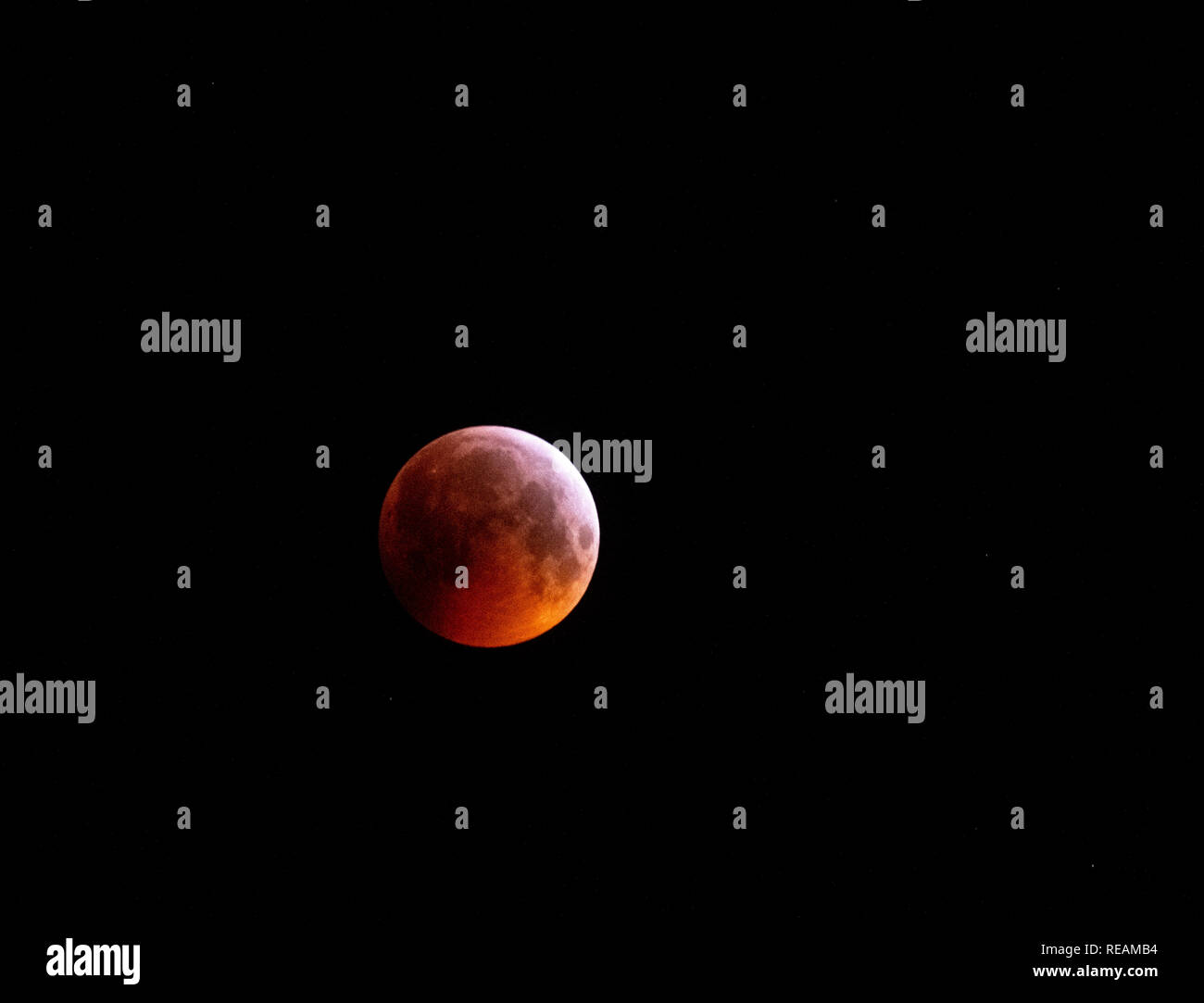 Tulloch, Enochdhu, Schottland, Großbritannien. 21. Januar, 2019. Blut Wolf Mond am 21. Januar 2019, klarer Himmel gab hier eine erstaunliche Mondfinsternis am Tulloch, Enochdhu, Schottland. Credit: Karen Appleyard/Alamy leben Nachrichten Stockfoto