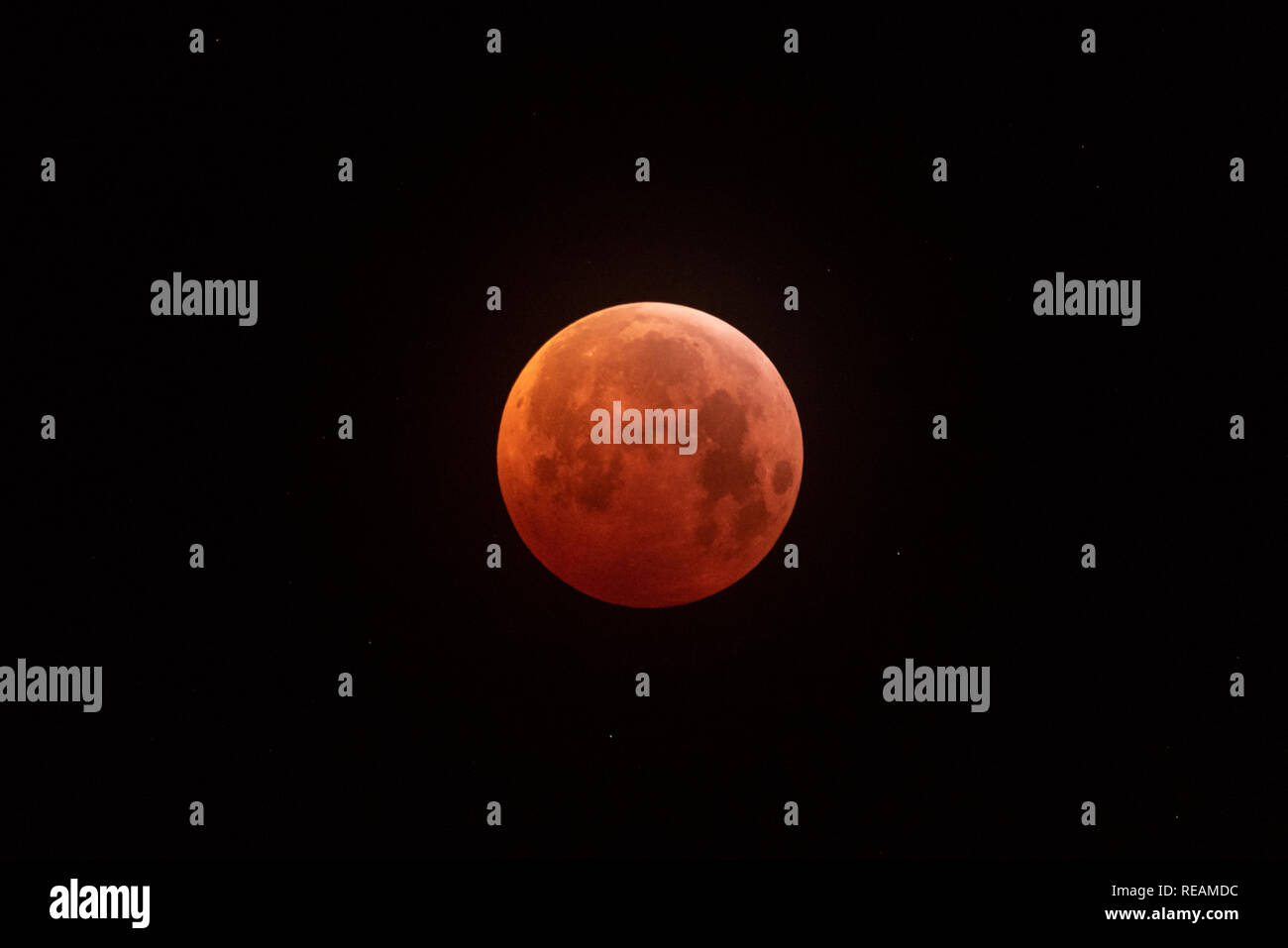 York, Yorkshire, Großbritannien. 21. Januar, 2019. Das Blut wolf mond in der Nähe von York. 21 Jan 2019 Quelle: Richard Smith/Alamy leben Nachrichten Stockfoto