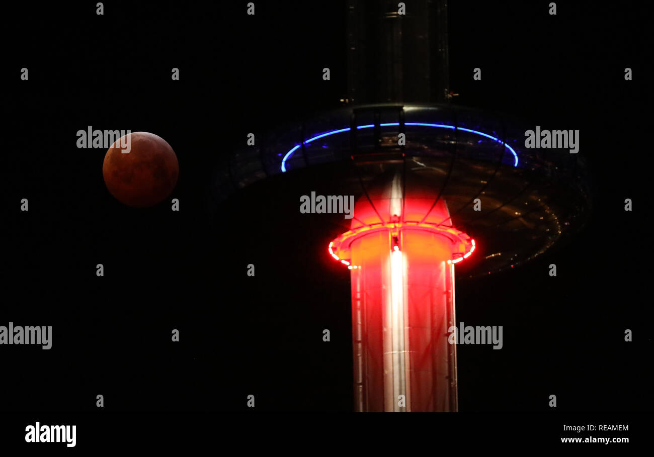 Brighton, UK. 21. Januar 2019 ein Super Blut wolf mond hinter der British Airways ich 360 Beobachtungsturm in Brighton gesehen während einer Mondfinsternis. Credit: James Boardman/Alamy leben Nachrichten Stockfoto