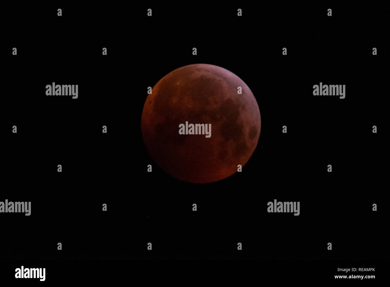 Superblut Wolf Moon am 21. Januar 2019. Mondfinsternis. Über Essex, Großbritannien. Der Schatten, den die Erde erschaffen hat, der den Mond verdunkelt Stockfoto
