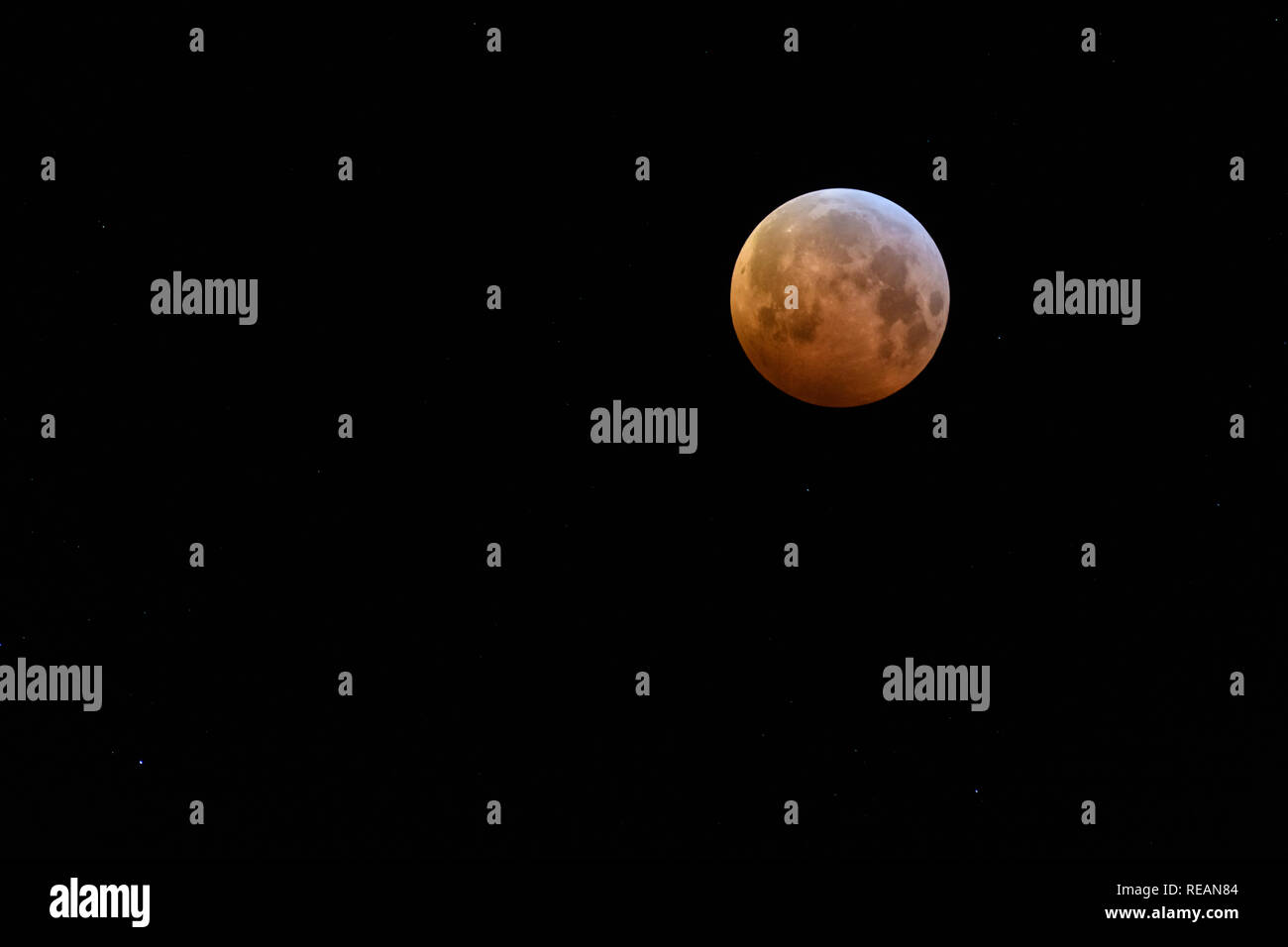 OUDDORP, Niederlande - Januar 21, 2019: Die totale Mondfinsternis, die super Blut wolf mond am Januar 21, 2019 in den Niederlanden war deutlich sichtbar. Credit: Corine van Kapel / alamy Leben Nachrichten Stockfoto
