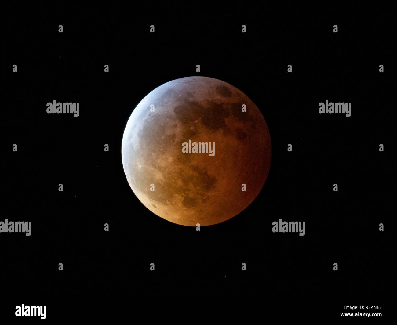 Bossier City, Louisiana, USA, Jan. 21, 2019. Eine Mondfinsternis entsteht eine so genannte 'Blood Moon." Credit: Allen J.M. Smith/Alamy leben Nachrichten Stockfoto