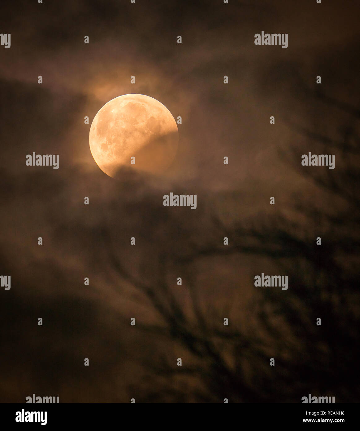 Leeds GROSSBRITANNIEN. 21. Januar 2019. Eine Mondfinsternis, die gemeinhin als ein Blut Mond bekannt, hier auf der Erde shaddow gesehen wird, so dass die Oberfläche des Mondes. Bei 6.28 Fotografiert bin aus Leeds im Norden Englands. . Credit: Ian Wray/Alamy leben Nachrichten Stockfoto