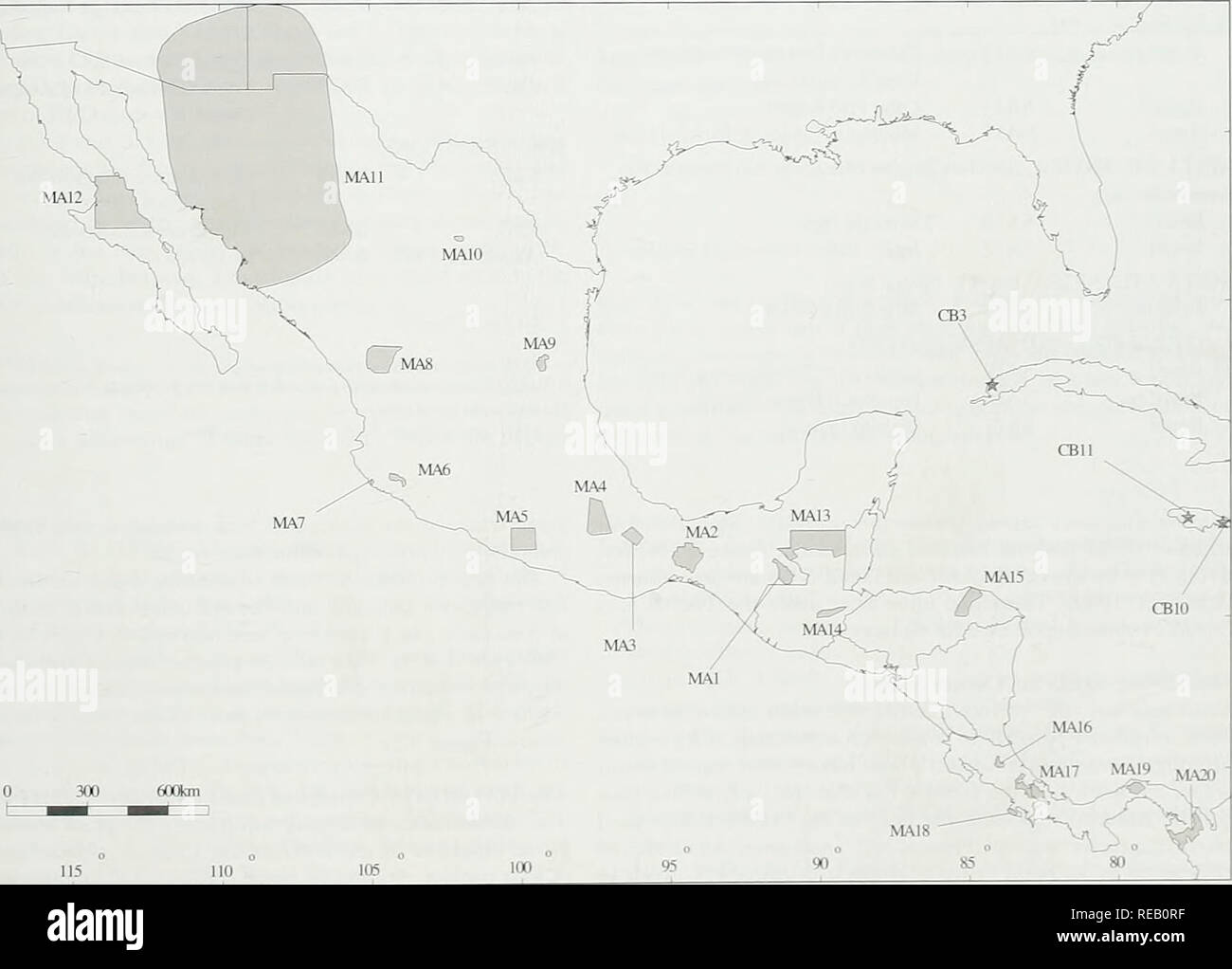 . Die Erhaltung Atlas der tropischen Wälder: In Nord- und Südamerika. Identifizierung von Bereichen für den Schutz der Nord- Tabelle 3.2 Liste der CPD-Standorte in der Karibik und Mittelamerika Land Code Site Name Kuba Cb3 Cajalbana Tableland und Preluda Mt Region Jamaika CblO Blau und John Crow Berge Jamaika Cbll Cockpit Land Mexiko MA 1 lakandonischen Regenwald Region Mexiko MA2 MA3 Uxpanapa-Chimalapa Region Mexiko Sierra de Juárez. Oaxaca Mexiko MA 4 Tehuacan-Cuicatlan Region Mexiko MA 5 Canyon der Zopilote Region Mexiko MA6 Sierra de Manantlan Region und Biosphärenreservat Mexiko MA 7 Pacific niedrig Stockfoto