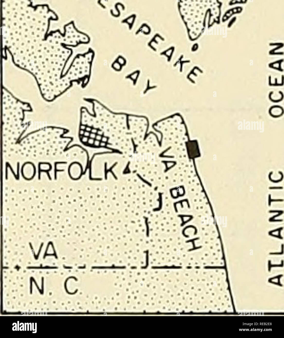 . Dynamische Eigenschaften von eingetaucht Sand am Virginia Beach, Virginia. Sand; Strände. Abstand in Fuß 400 600 I I I I I I I &Lt;I I I I I I I I I I I I I I I I I I I I I I I I I I I I I I I 15 Street Pier I 3TH STREET TAUMELSCHEIBE - BACKSWASH PROBENAHME gl iW. INDEX MAP 3rd Street Pier. fOi '%f'^ATLANTIK ELM; STRASSE TAUMELSCHEIBE - BACKSWASH SAMPLING/(. Nördlich Grundstücksgrenze, -^- P +300 Camp Pendleton ABBILDUNG 1. Lage VON STUDIE UND STATION BEZEICHNUNGEN FÜR DIE PROBENAHME TRANSEKTE ENTLANG UND AN DER OBERSEITE DER TAUMELSCHEIBE in der Zone. 43. Bitte beachten Sie, dass diese Bilder extrahiert werden aus der gescannten Seite Bilder, gewesen sein kann Stockfoto