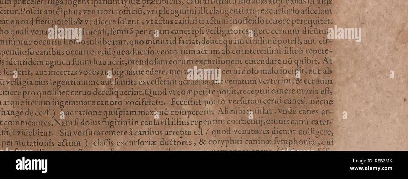 . Conradi Gesneri medici Tigurini Historiae animalium liber Primus de quadrupedibus viuiparis: Opus philosophis, Medici, grammaticis, philologis, poeÌtis, &Amp; Omnibus rerum linguarumqÌue variarum studiosis, vtilissimum simul iucundissimumqÌue futurum. Pre-Linnean arbeitet; Zoologie. ^^ (^ De Quadrupedihus HuLfLdi enim excurforesvix vnquam nuntium remittuntpridiefibi abmmo defponfeac dcllmatx^ Ich. rriXtaoaauariusvenatoreosretroinhibitosreducet, vndercpetercprifcnuaaHmcert, uslegm St mtZ loHerd iimaecx?!^ urfionis exadulterinaautrubdititi CqtKenumeronegotiumillisexhibet, &Amp; quafi v. tiumaufpicantibusaff Stockfoto