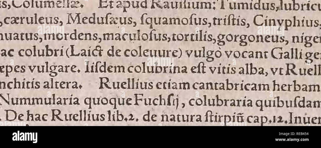 Conr Gesneri Tigurini Medicinae Et Philosophiae Professoris In Schola Tigurina Liber Historiae Animalium Ii Qui Est alamy