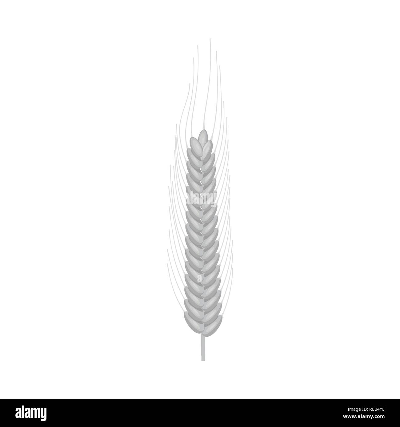 Winter, Frühling, Spike, Hartweizen, Zuschneiden, Maisfeld |, Stroh, Weide, ländlichen, Weizen, Mais, Getreide, Ernte, Betrieb, Feld, Landwirtschaft, Landwirtschaft, Roggen, Pflanze, Set, Vector, Icon, Illustration, isoliert, Sammlung, Design, Element-, Grafik-, Zeichen-, Mono-, Grau-, Vektor, Vektoren, Stock Vektor