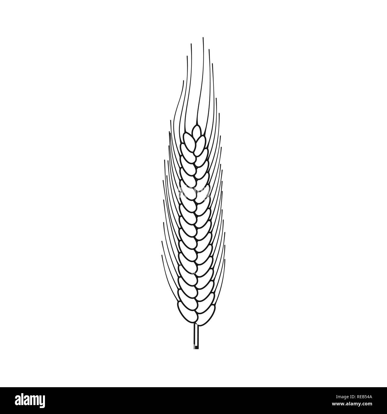 Winter, Frühling, Spike, Hartweizen, Zuschneiden, Maisfeld |, Stroh, Weide, ländlichen, Weizen, Mais, Getreide, Ernte, Betrieb, Feld, Landwirtschaft, Landwirtschaft, Roggen, Pflanze, Set, Vector, Icon, Illustration, isoliert, Sammlung, Design, Element, Grafik, Zeichen, Rahmen, Linie, Vektor, Vektoren, Stock Vektor