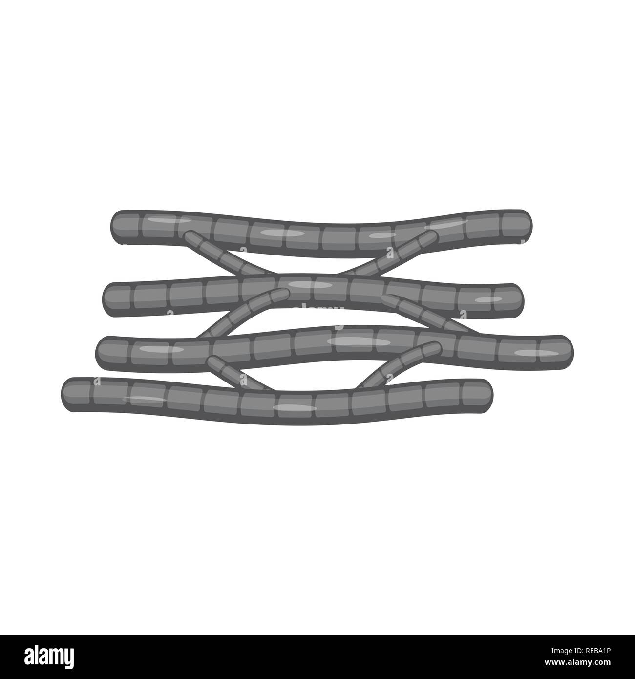 Herz, Filamente, Zelle, glatt, kardiale, Fasern, Orgel, Arterie, Gesundheit, Kardiologie, Muskeln, Zellen, Gewebe, Anatomie, Skelett, Struktur, Fibre, muskulös, menschlich, Körper, Set, Vector, Icon, Illustration, isoliert, Sammlung, Design, Element-, Grafik-, Zeichen-, Mono-, Grau-, Vektor, Vektoren, Stock Vektor