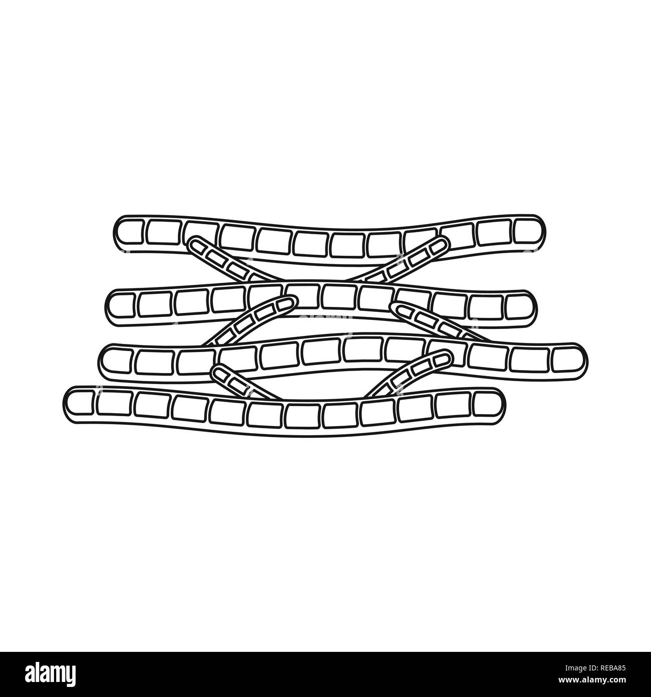 Herz, Filamente, Zelle, glatt, kardiale, Fasern, Orgel, Arterie, Gesundheit, Kardiologie, Muskeln, Zellen, Gewebe, Anatomie, Skelett, Struktur, Fibre, muskulös, menschlich, Körper, Set, Vector, Icon, Illustration, isoliert, Sammlung, Design, Element, Grafik, Zeichen, Rahmen, Linie, Vektor, Vektoren, Stock Vektor