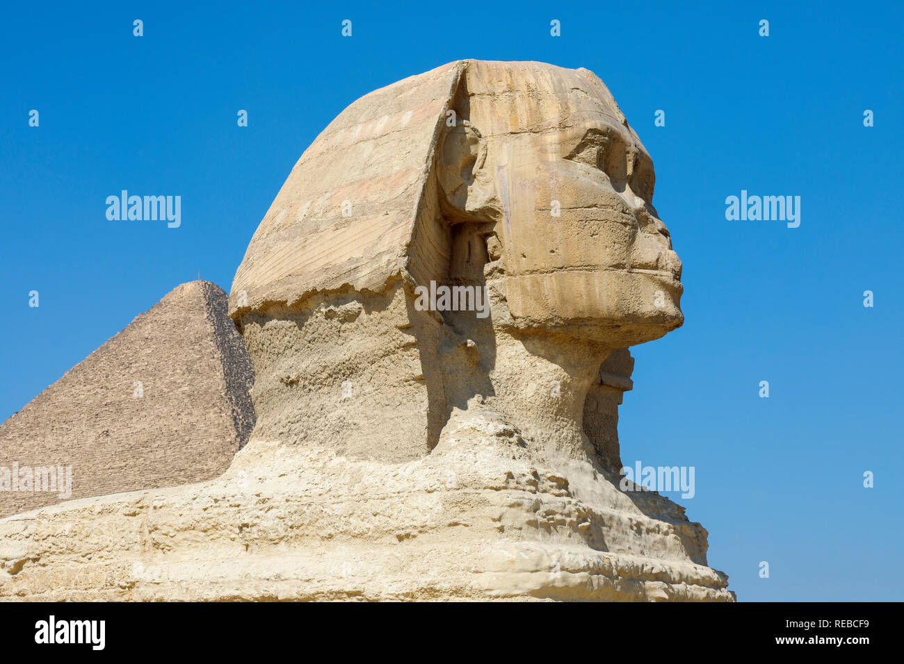 Seitenansicht der große Kopf der legendären monumentale Skulptur, die Große Sphinx von Gizeh, Giza Plateau, Kairo, Ägypten gegen einen klaren blauen Himmel Stockfoto