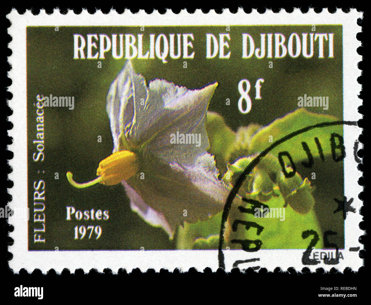 Briefmarke von Djibouti in den Blumen Serie in 1979 Stockfoto