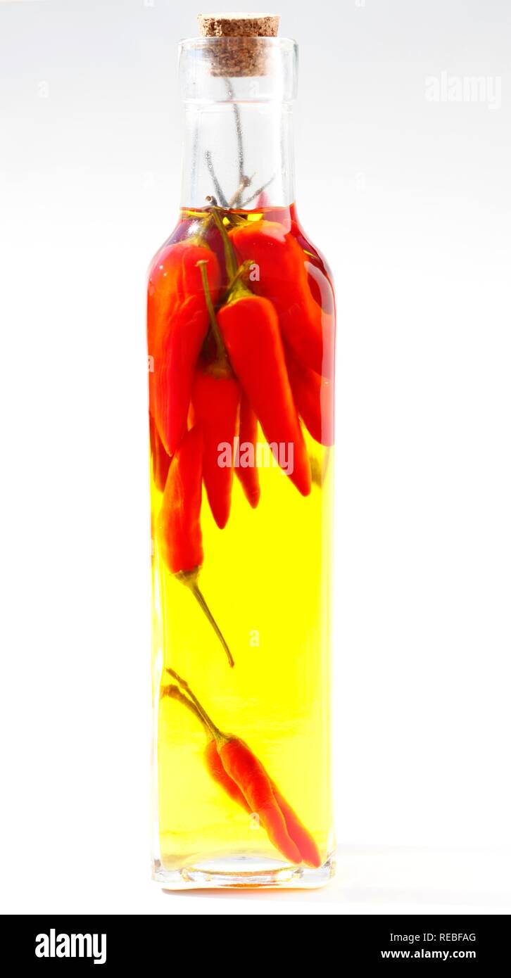 Chili Öl, hot chili peppers in Olivenöl, für würzige Gerichte und heiße Öl zum Würzen Stockfoto