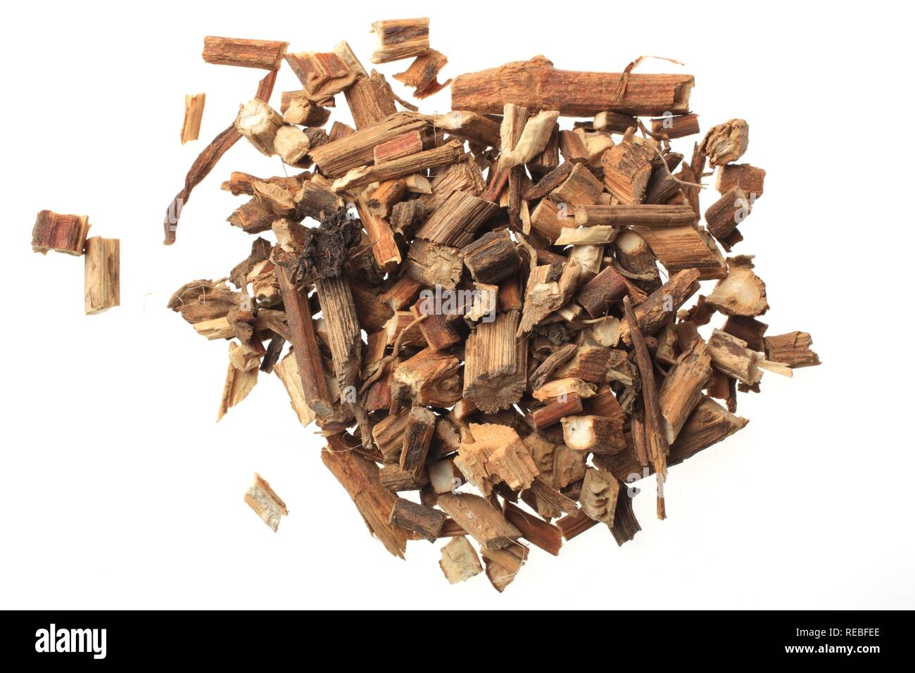 Heilpflanze, Koreanische Minze, Süßholz Blau oder Lila Riese Ysop (Agastache rugosa), getrocknete Kräuter Stockfoto