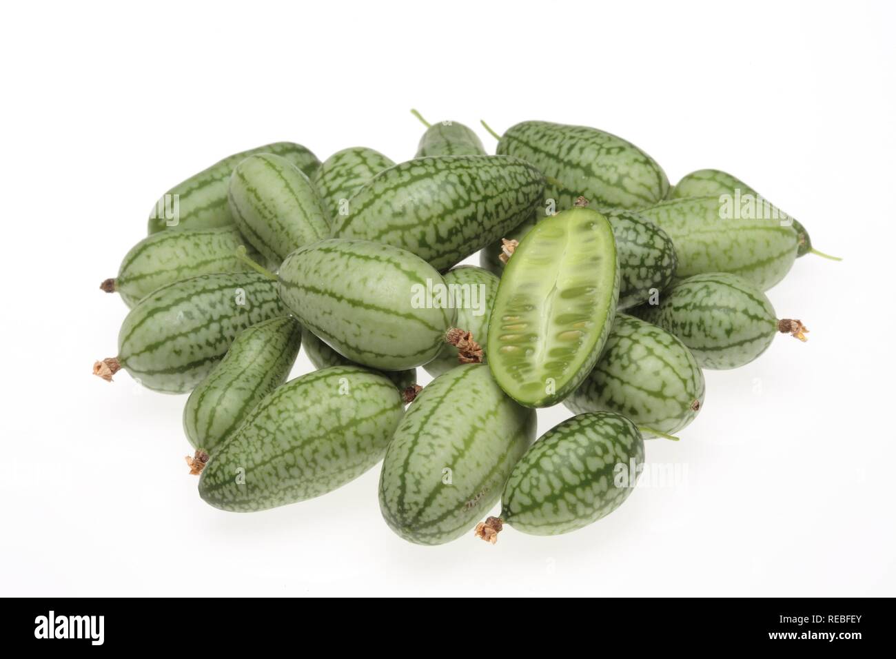 Mexikanische saure Gurke, mexikanische Miniatur Wassermelone oder Maus Melone (Meliothria scabra), Gemüse Stockfoto