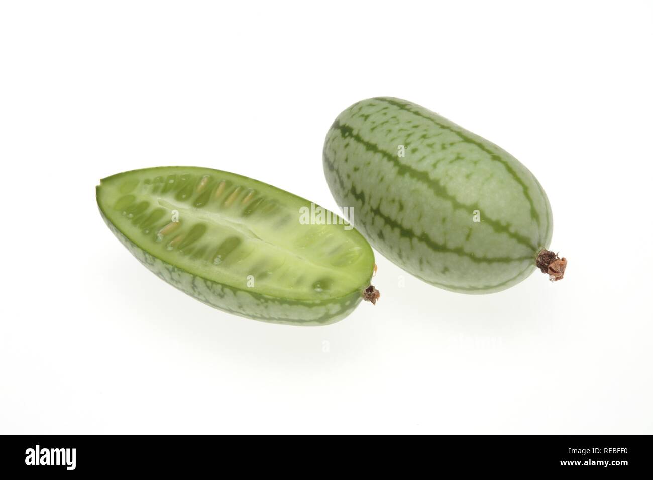 Mexikanische saure Gurke, mexikanische Miniatur Wassermelone oder Maus Melone (Meliothria scabra), Gemüse Stockfoto