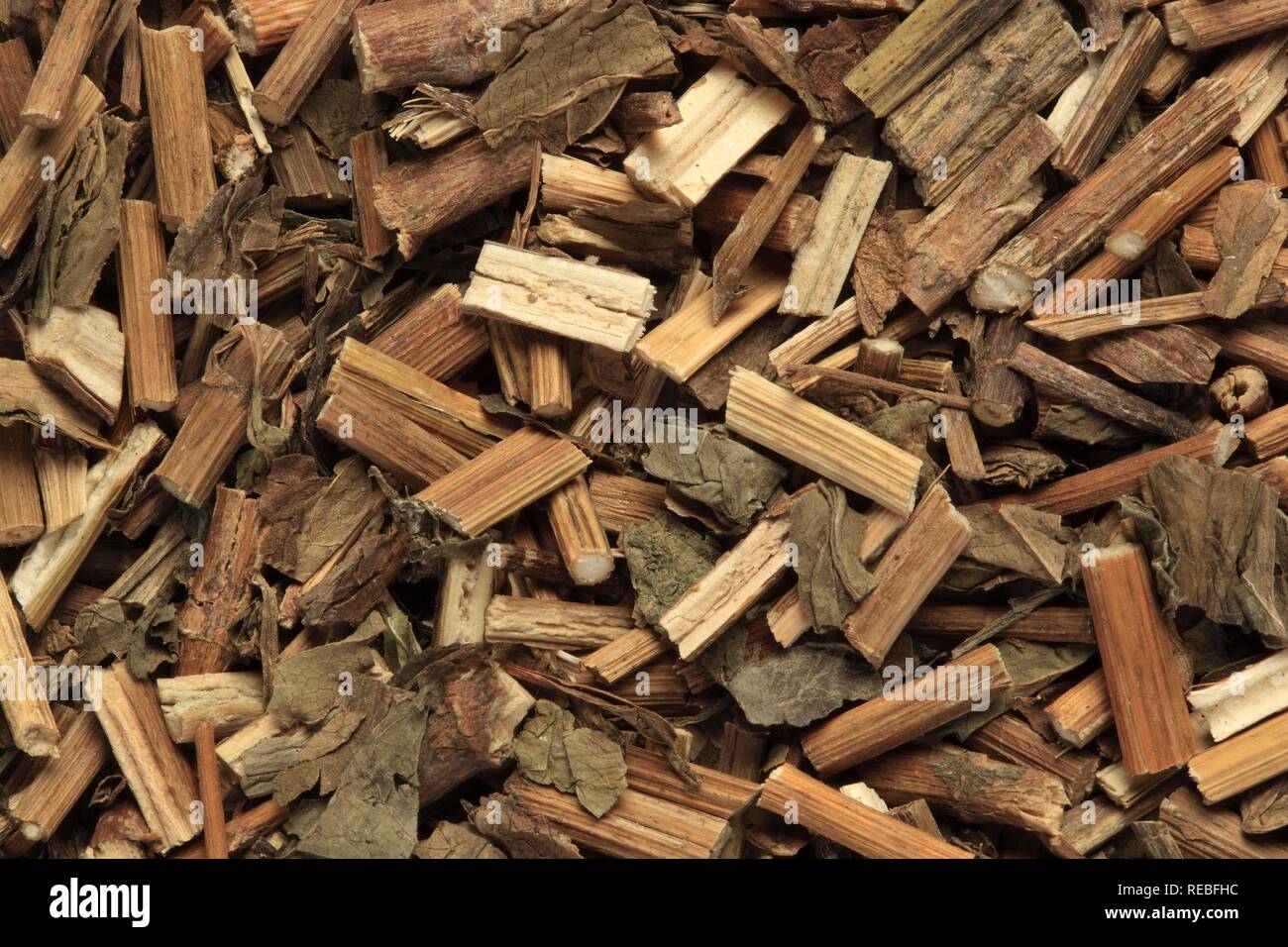 Getrocknete Kraut der Heilpflanze Pei Lan (eupatorium Undulata) Stockfoto