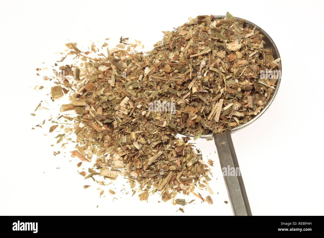 Getrocknete Kraut der Heilpflanze Goldrute (Solidago virgaurea) Stockfoto