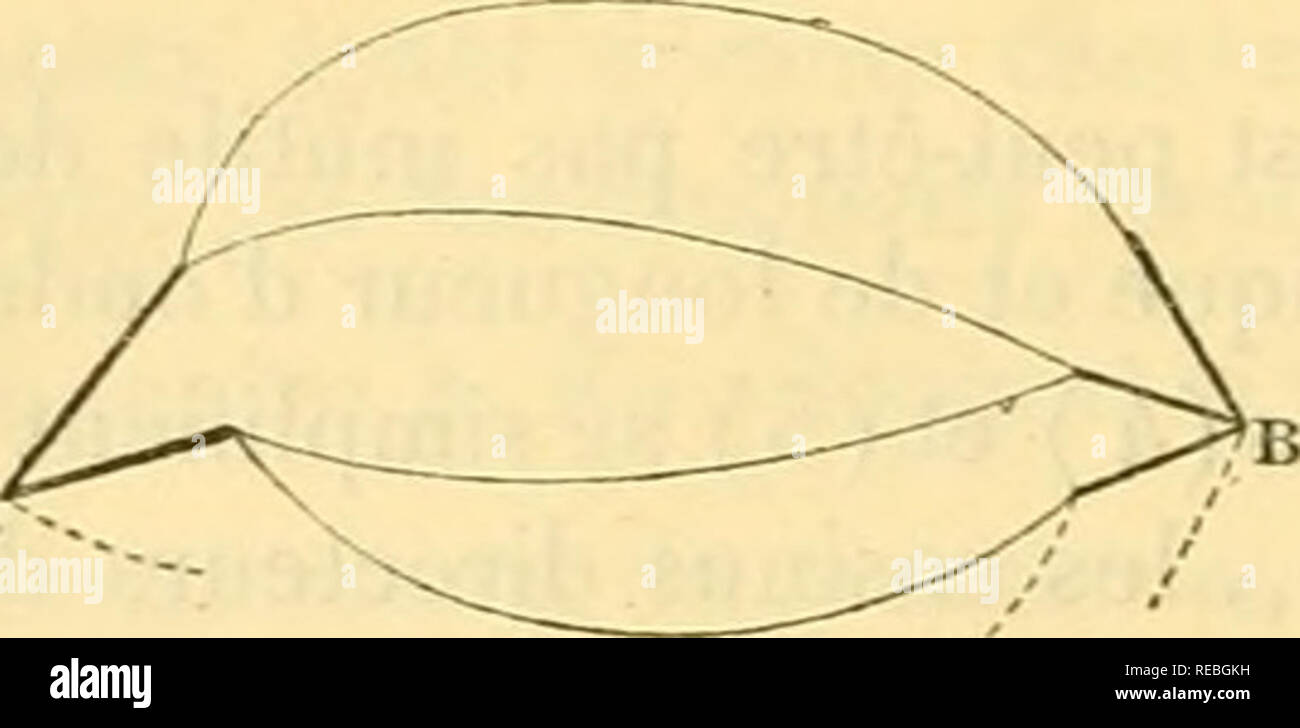 . Comptesrendusheb 1121891 acad.Es NATURELLES. (224) expliquÃ©e par un-Diagramm Abb. b, reprÃ©sente une Partie d'un pareil cir cuit. Einrichtung ¨ s que l'auf Einrichtung passe Trois ou Quatre bobines, le Kfz-prüfungen genaue, par les diese Formeln ordinaires, de la rÃ©Stenz umfassen entre A et B est laborieux extrÃªme-ment. Auf alors peut faire Nutzung d'un procÃ©Dekor Dekor tournÃ©qui, dans ce cas particulier, Conduit à un Kfz-prüfungen trÃ¨s einfach. Fie-Â"â Fis X X X X X X X X A*T Â" 2. Ãtablissons d'abord une formule Générale. Soit un fil KL, de rÃ©sis-tance r0, se prolongeant enL par n Fils de rÃ©sistances r, r2, ..., Rn, qui Se r Stockfoto