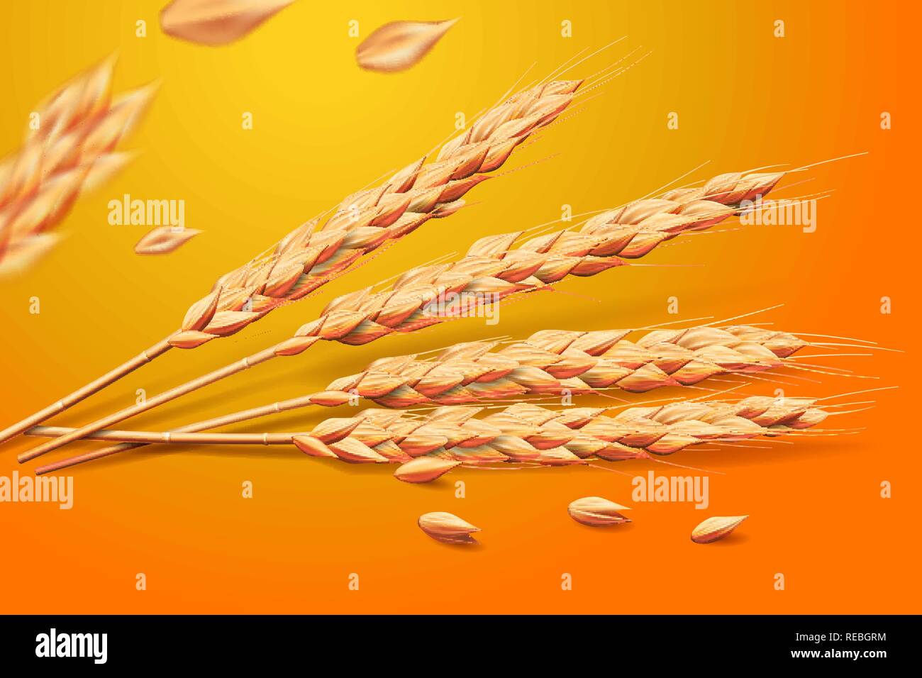 Realistische Weizen Gerste Hafer Elemente. Detaillierte auf goldenem Hintergrund für gesunde Ernährung oder Landwirtschaft design isoliert. Vector 3d-Abbildung. Stock Vektor