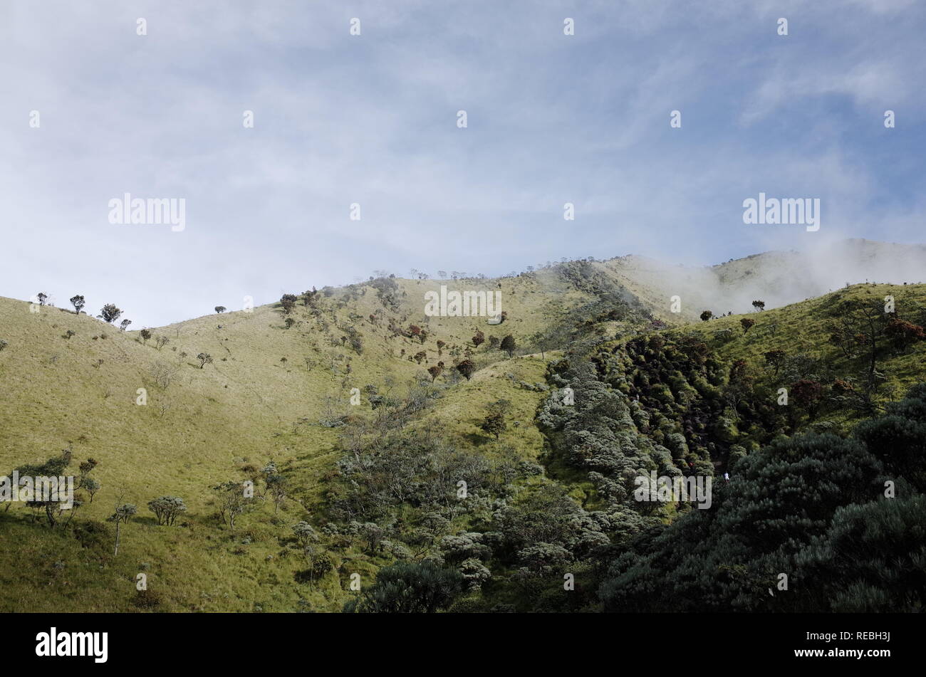 Aufsteigend Mount Merbabu Indonesien Stockfoto